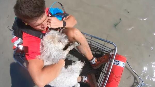 Rescuer holding onto a white dog.