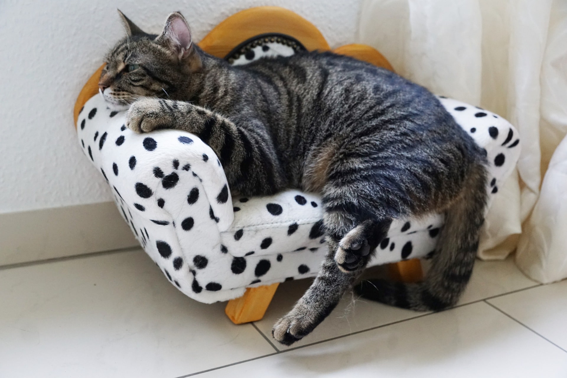 A cat laying down on a black and white print miniature sofa.